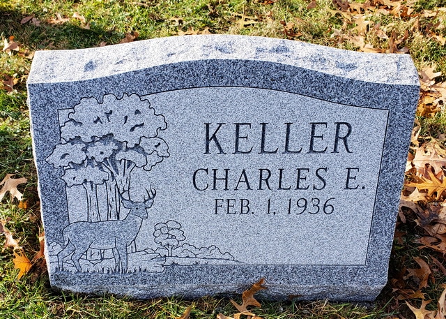 Keller Deer in Nature Landscape on Gray Granite